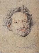 Peter Paul Rubens Dige oil painting artist